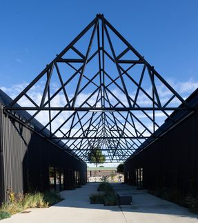 Carhartt Wip Complex