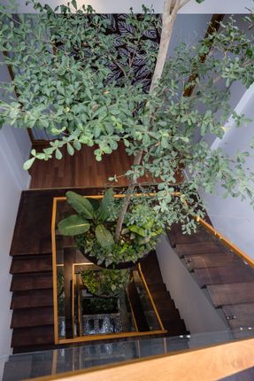 Floating Nest