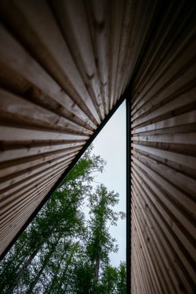 House in the Forest