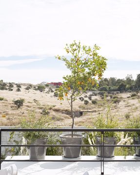 La Colina 17