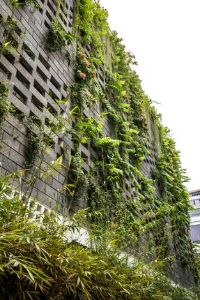 Babylon Garden Spa Renovation