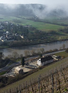 Cantzheim Vineyard Manor House
