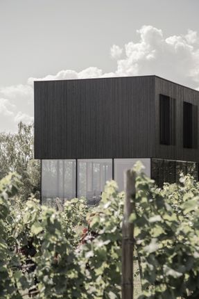 AVOS – the little Black House