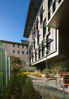 College of Liberal Arts