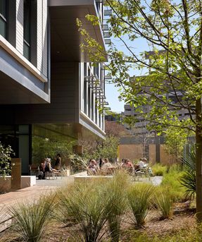 College of Liberal Arts
