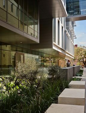 College of Liberal Arts