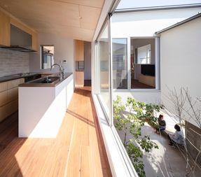 Acquired Stilt House
