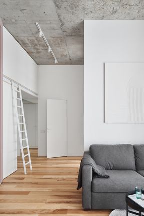 CatFlat Apartment