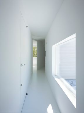 Forest In The Space