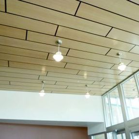 Asiarchitectural Fusion Ceiling and Wall Panels