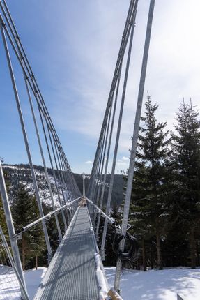 Sky Bridge 721