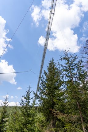 Sky Bridge 721
