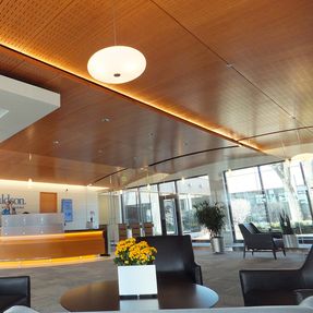ASI Architectural Cloud Ceilings