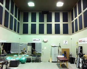Acousticalsurfaces  Echo Eliminator Wall and Ceiling Panel