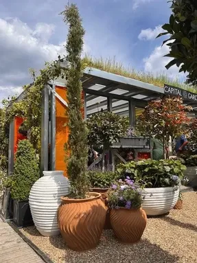 Capital garden Beehive Jar Panter