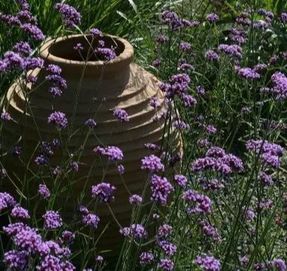 Capital garden Beehive Jar Panter