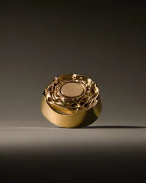 Alessi Compressioni Unprecedented object
