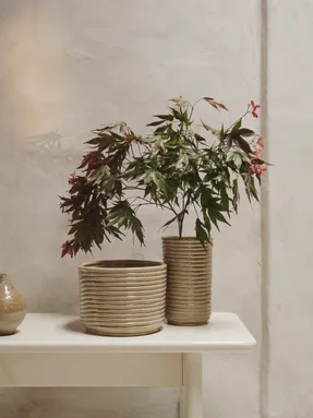 Fermliving Corduroy Pot