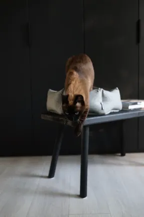 Miacara Calma Cat Bed