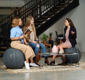 Lifespan Yoga Ball Office Chair