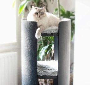 Miacara Torre Scratching Post