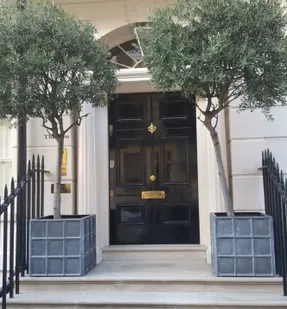 Capital Garden Downing Street Planter