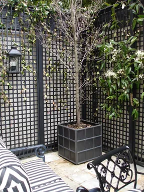 Capital Garden Downing Street Planter