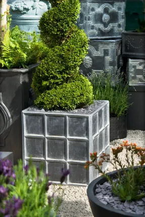 Capital Garden Downing Street Planter