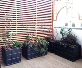 Capital Garden Downing Street Planter