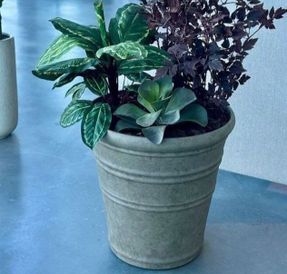 Gotessons Pot Bari 550 Planter