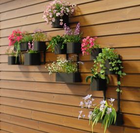 Umbra Cubiko Wall Plante