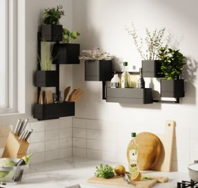 Umbra Cubiko Wall Plante