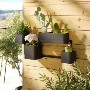 Umbra Cubiko Wall Plante