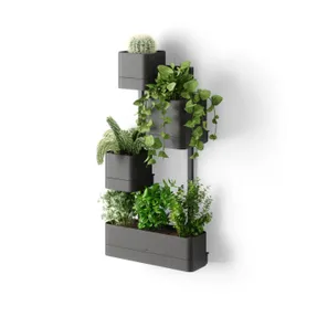Umbra Cubiko Wall Plante