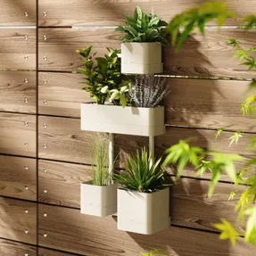 Umbra Cubiko Wall Plante