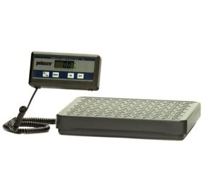 Rubbermaid Commercial Digital Receiving Standard Scale