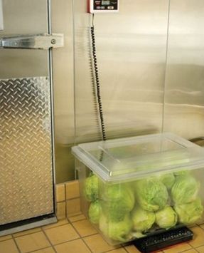 Rubbermaid Commercial Digital Receiving Standard Scale