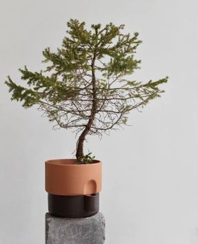Northern Oasis Flowerpot Medium