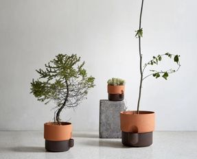 Northern Oasis Flowerpot Medium