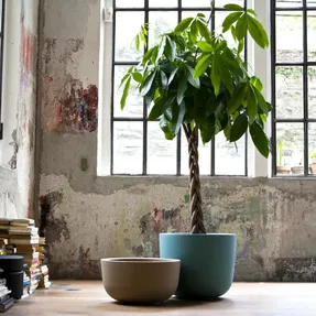 Serralunga Cup Big Planter