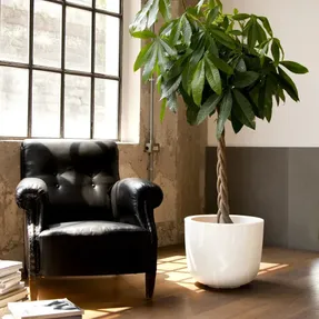Serralunga Cup Big Planter