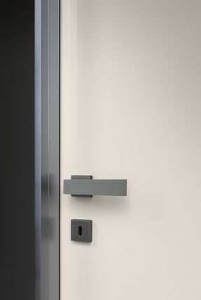 Lualdiporte L41 Interior Door With Aluminum Jambs
