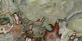 Tecnografica Patchouli Decorative Panels