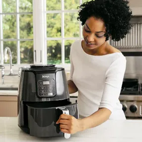 Wayfair Ninja 4 Qt Air Fryer