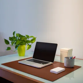 Elgooh Desk Pad Clio