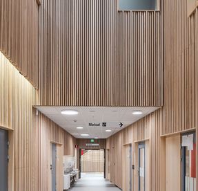 Carvart Linear Module Wood Cladding