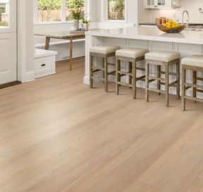 Shaw Floors Paw-some Flooring