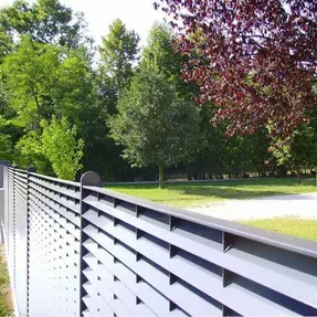 Lang+Fulton DeltaWing Fencing