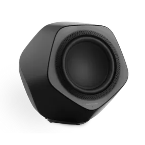 Bang Olufsen Beolab 19 Subwoofer
