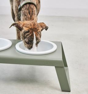 Miacara Desco Dog Feeder With Porcelain Bowls